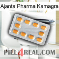 Ajanta Pharma Kamagra cialis3